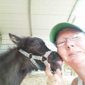 Meet your Posher, Terry